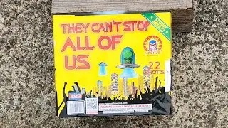 They Can't Stop All Of Us by Magnus Fireworks 500g