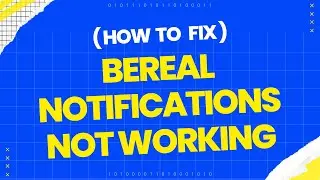 How to fix BeReal Notifications not working?