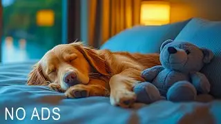 [NO ADS] ASMR Sleep Music for Anxious Dogs!