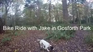 A Day Out With Jake in Gosforth Park