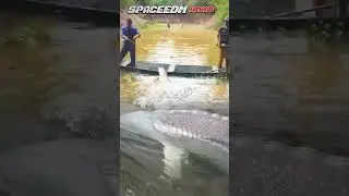 STURGEON Fishing Frenzy! Catching MONSTERS in a Wooden Boat