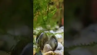 Standing up for yourself
