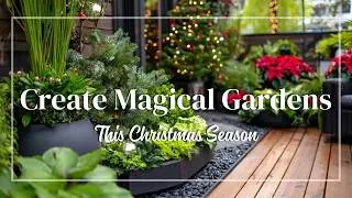 Create a Magical Small Garden This Christmas | Brilliant Winter Planters, Lights & Evergreen Ideas