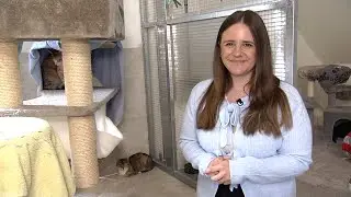 Tierisch M&uuml;nchen: Besuch bei dem Verein Aktion Tier Kitty M&uuml;nchen