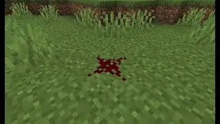 How to make the most USELESS redstone contraption