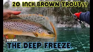 Last Fly Fishing Trip Before the Deep Freeze | Big Brown Trout on a Prince Nymph