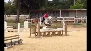 Chantilly Blue