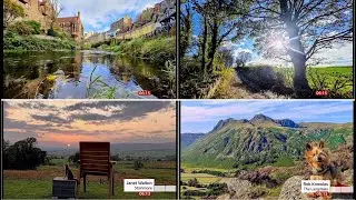 Weather Events - 10 years of Weather Watchers images & one of them, Muddy Paws (2) (UK) 1/Nov/2025