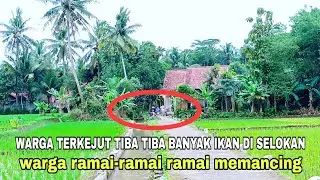 Heboh .. Banyak ikan di selokan kecil tengah sawah banyak warga memancingnya 