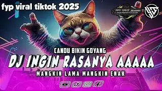 DJ INGIN RASANYA AAAAA - CANDU BIKIN GOYANG MAKIN LAMA MAKIN ENAK || FYP VIRAL TIKTOK 2025