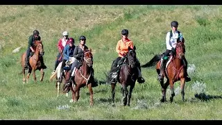 JILL THOMAS ENDURANCE RIDING •  GETTING STARTED
