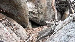 The Giants Lair, March 31, 2014