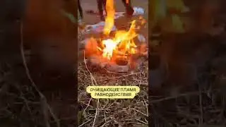 🧿РАВНОДЕНСТВИЕ Ученица,, WACHSGUSS PRAXIS, LEBENSBERATUNG ESOTERIK HEILER,, уже 🖕со своими учениками