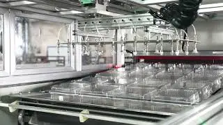 Daba Machinery Fully automatic in-mould cutting plastic thermoforming machine