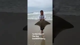 Fishing for Bat Ray 🎣