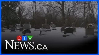 Plans in place for a new Catholic cemetery