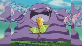 Muk contro Bellsprout! | Serie Pokémon Adventures in the Orange Islands