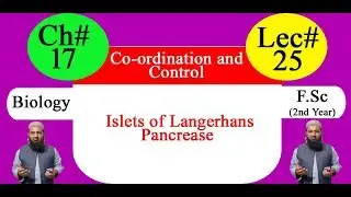 Biology Ch#17-Lecture#25 Islets of langerhans pancrease  (F.Sc 2nd Year)