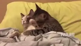 Мурики