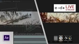 Live Stream: Using Simple Animated Assets to Create Realistic Environments