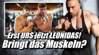 Nico, du musst endlich umschalten! l Germanbull reagiert auf @inscope21 @LeonidasArkona