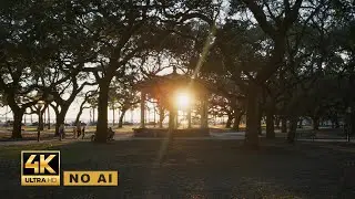 33 Minutes of Pure Sunset & Lo-Fi | White Point Garden, Charleston 4K (No AI)