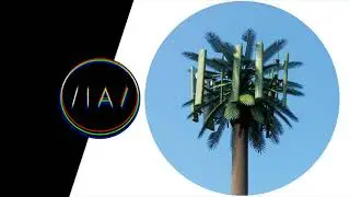 Harrison BDP - Panacea [Lost Palms]