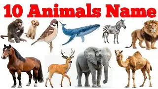 10 Traveling Animals Name | Insects, Amphibians, Reptiles, Crawling | Educational Video for Children
