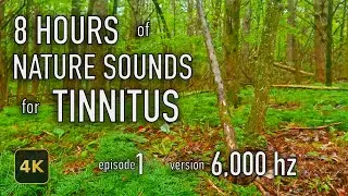 8 Hours Nature Sounds for Tinnitus — EP 1 | [6,000 Hz] | 4K HDR10 - E01-6000