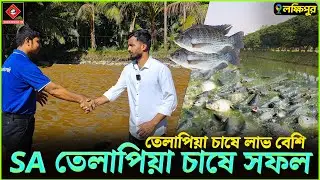 লক্ষীপুরে SA তেলাপিয়া চাষে সফলতা | Shakib Agro || মৌসুমি পুকুরে ১বার তেলাপিয়া ও ১বার ধান চাষে সফলতা