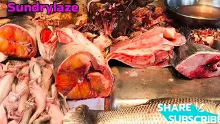Indian Fish Market #fishmarket #fish #fishshop#fishcutting_skills#fishcutting#fishspecies#sundrylaze