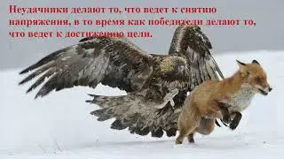 Трендовая стратегия хитрый зигзаг Валютный рынок