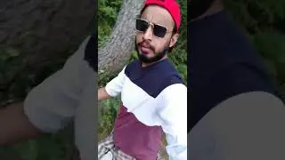 #adventrevideo 2021-06-05 #ihavethisthingwithplants #murree_snowfall #cat #funny #nature #travel