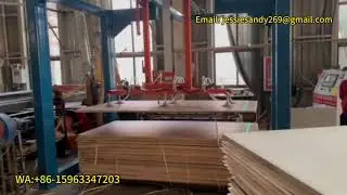 Suction Cup Feeding Machine/Vacuum Panel Loader Easy Operation WA:+86-15963347203 #plywoodmachine