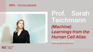 CIS - Colloquium - by Prof. Sarah Teichmann