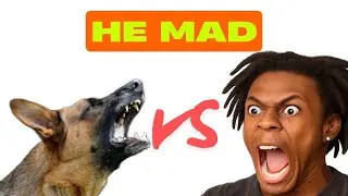 Ishow speed has Bark Off With Dog Funny Comment 😀😁😂
