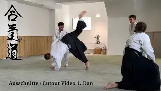Ausschnitte /Cutout Video 1. Dan