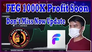 Feg 1000X Profit Don't miss Update | Feg Release roadmap Defi release Three Zero