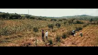 About agriBORA