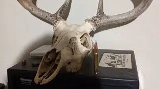 How Good Is 35 Whelen At Killing Deer w/ Hammer Bullets?