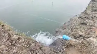 Fish Farming 