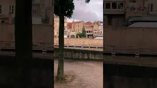 #233 - Love Garden,&nbsp;Metz, France  #penguinstones #france