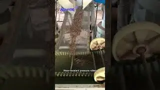 Industrial Wood Chip Pellet Mill &ndash; 4-30mm Custom Pellets, Wear-Resistant Rollers  #pelletmachine