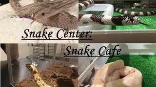 Snake Center: Snake Cafe スネークセンター：ヘビカフェ