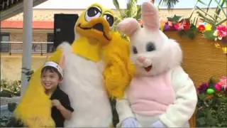 Visit Pualani Cottontail and Koloa the Duck