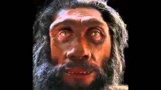 The Evolution of Man's Face Over The Course Of 6 Million Years