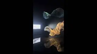 &laquo;&nbsp;Fluxos&nbsp;&raquo; Daniel Wurtzel
