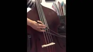 80-years-old Germany bass with brand new Spirocores