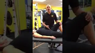 Muscle Activation Techniques