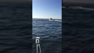 Johnson ocean runner 225